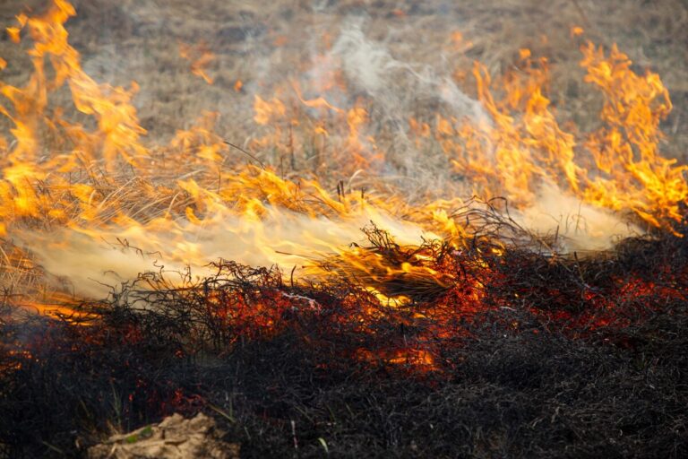 Пожароопасный период