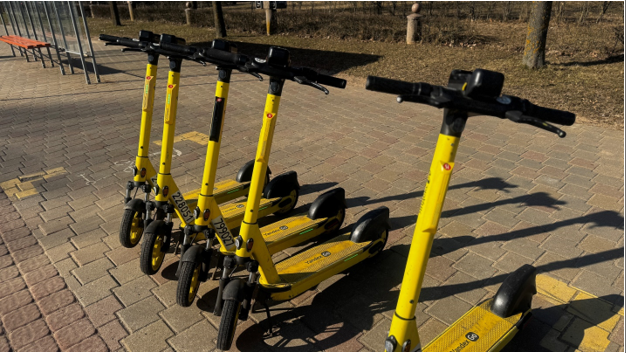 Единый день безопасности дорожного движения